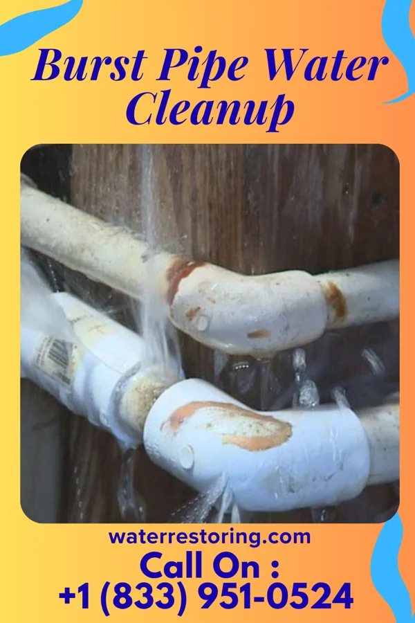 Burst Pipe Water Cleanup in Lakeside-Beebe Run, NJ