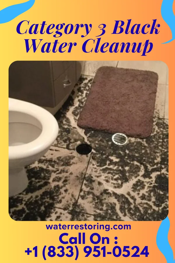 Category 3 Black Water Cleanup in Lakeside-Beebe Run, NJ
