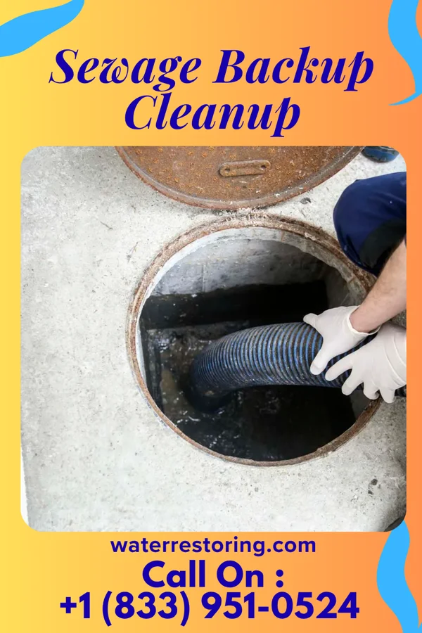 Sewage Backup Cleanup in Lakeside-Beebe Run, NJ