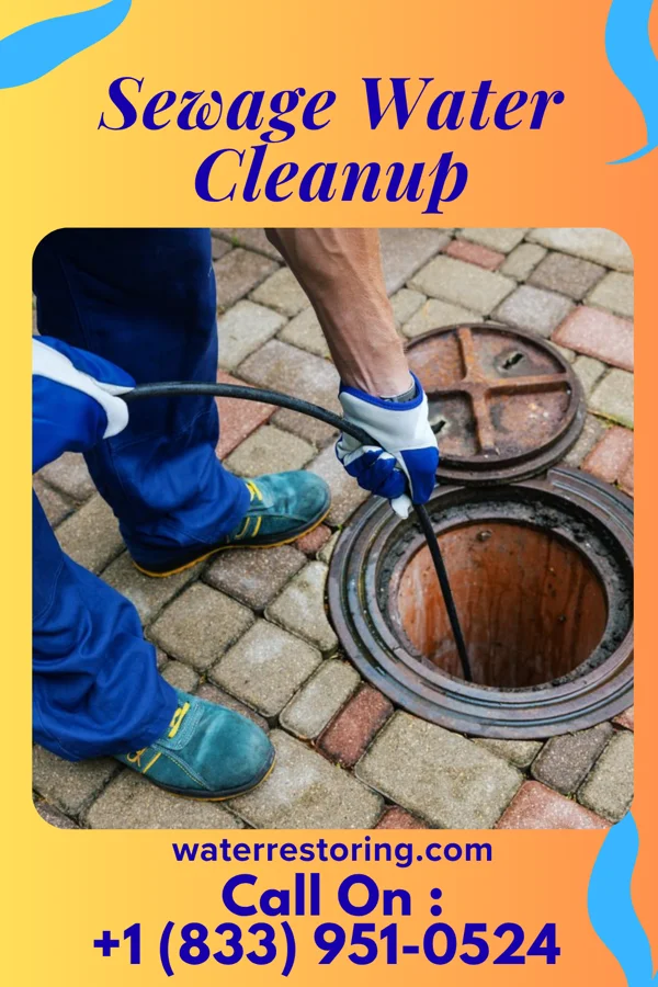 Sewage Water Cleanup in Lakeside-Beebe Run, NJ